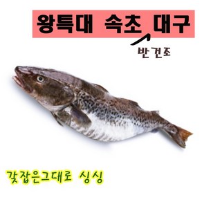 왕특대 대구뽈 속초 주문진 반건조 대구, 중 - 1미 500g 내외, 1개