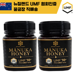 내추럴허니 뉴질랜드 마누카꿀 UMF10+, 2개, 250g