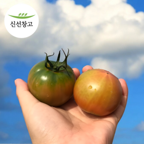 신선창고 짭짤한 대저 토마토 2.5kg 로얄과 정품 부산대저토마토 S-2S, 1박스