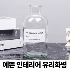 파울로씨티 예쁜 인테리어 유리화병 꽃병