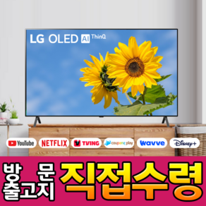 LG전자 65인치 (165cm) 올레드 UHD 4K 스마트 웹OS 돌비 애트모스 TV OLED65A1, 고객직접설치, 스탠드형