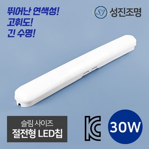 LED 성진 다용도 등기구 형광등 일자등 30W, 성진일자등30W