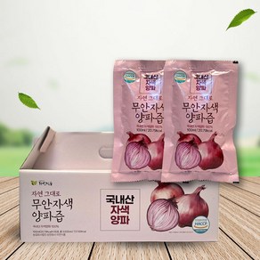 자연식품 자연 그대로 무안 자색양파즙, 100ml, 60개