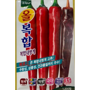 고추 씨앗 종자 올복합 1200립 중간매운맛 조생종 많은수량성 복합내병계 사은품증정, 1개