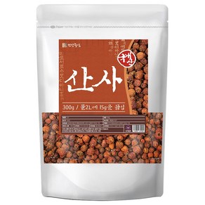 건강중심 국산 산사 열매 산사자, 1개, 산사 300g