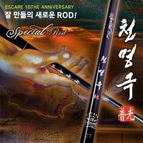 [20%] 천명극보광 스페셜로드, 29