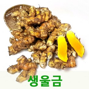 국내산 생울금1kg 싱싱지오