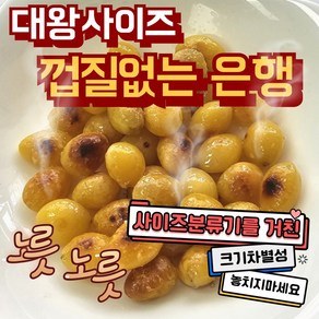 대왕사이즈 냉동 한번더 깐은행 누드은행 1kg 탈피은행 며느리약초, 1개