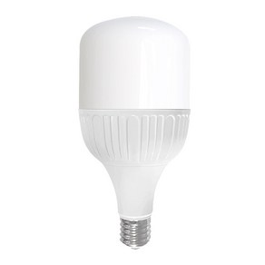 안트 led 보안등 50W 전구 고와트 E39, 1개