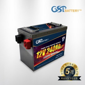 GSP 지에스피 리튬인산철 캠핑 배터리 12V 240A STEEL SUB