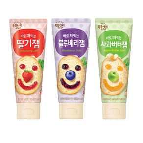 [한정특가] 복음자리 바로 짜먹는 잼 딸기+블루베리+사과버터잼 세트, 100g, 1개