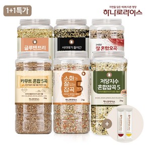 [1+1특가] 하나로라이스 저당지수 혼합5곡 + 건강혼합곡 5종 택1(2kg*2개묶음), 저당지수혼합5곡2kg, 소화가잘되는잡곡2kg, 4kg, 1개