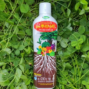 식물 및 농작물 뿌리 발달 활착 증진 뿌리 발근제 비료 뿌리나라 300ml, 1개