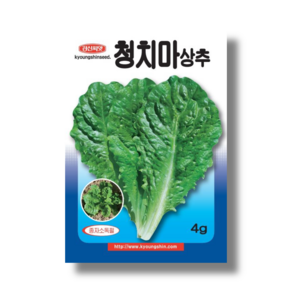 상추씨앗소포장 종자 청치마 4g 작은텃밭, 1개