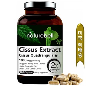 쿠팡추천 Naturebell 네이쳐벨 시서스 가루 분말 1000mg