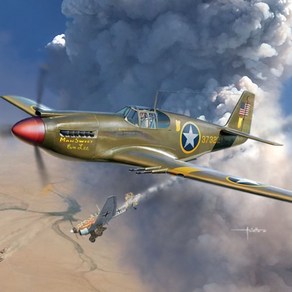 1/48 미육군항공대 P-51 북아프리카 프라모델(12338), 1개