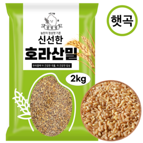 [쌀쌀쌀] 국산 햇 호라산밀, 1개, 2kg