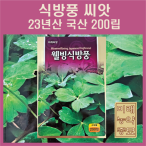 미래종묘 웰빙식방풍 씨앗 200립- 약용식물 산나물 민속채소, 1개