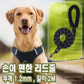 코코노피 강아지리드줄 목줄 강아지산책줄 소형견 중형견 대형견 애견 반려견 로프 리드줄 [ 12mm - 2 M }