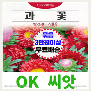 [OK씨앗] [과꽃] 과꽃씨앗 종자(오케이씨앗), 1개