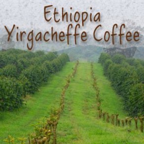 Ethiopia 'Yigacheffe' Coffee 1LB-Couse Gind (Pess) 에티오피아 '예가체프' 커피 1LB 코스 그라인드(프레스), 1개, 453.59g