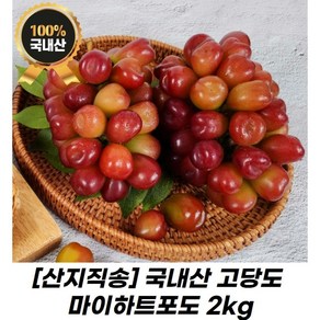 [한정수량] 산지직송 국내산 고당도 마이하트포도, 1개