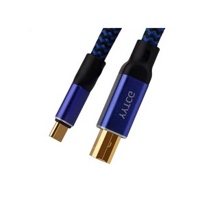 YYTCG 6N OCC 24K 도금 하이파이 HIFI G2 오디오인터페이스 USB A-B C-B A-C C-C 케이블, USB C-B 3M