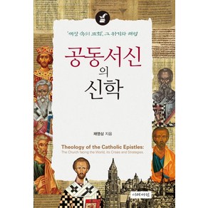 공동서신의 신학:세상 속의 교회 그 위기와 해법, 이레서원