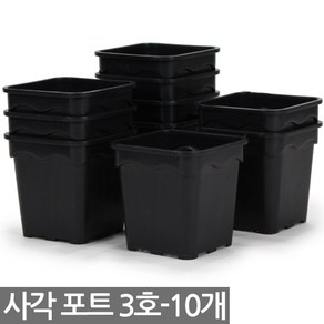 플라스틱 사각포트 3호 10개 - 모종판 화분 연결포트 모종 다육포트 트레이 재배 씨앗 연결포트 묘목 모판 화분 다육이