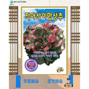 적아삭이 맛상추 씨앗 (300립) 특수야채 종묘 종자 씨 영웅 KS, 1개