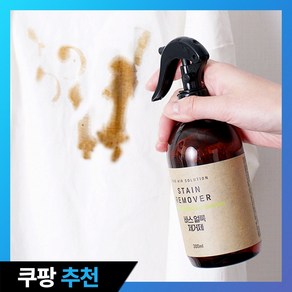 바스 얼룩제거제, 300ml, 2개