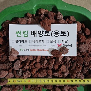 화산석 10kg 송이석 레드 어항바닥재 돌화분마감재 10~20mm, 1개