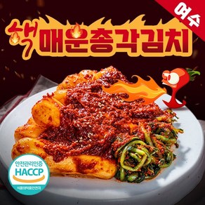 [식객50년전통]매운 총각김치 전라도 매운김치 불김치 알타리 무우김치 1kg 3kg 5kg 핵매운김치 맛있게 매운 김치 매운실비김치 당일생산 50년전통