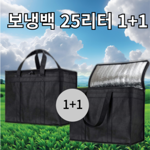 투스롱 보냉가방 1+1 대용량 25리터 가벼운 심플, 블랙+블랙, 2개