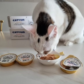 베러펫 고양이습식 고양이캔 고양이습식사료 닭가슴살+연어+황태+소고기+오리+참치 30g 36개, 닭가슴살+소고기+오리