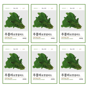 루꼴라 로켓 샐러드 씨앗 4000립, 6개