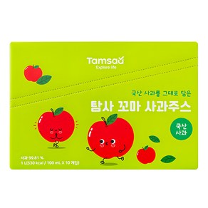 탐사 꼬마 사과주스, 10개, 100ml