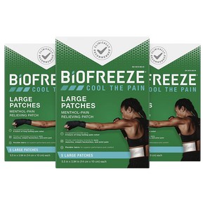 Biofreeze 바이오프리즈 통증 완화 패치 대형 15개 패치