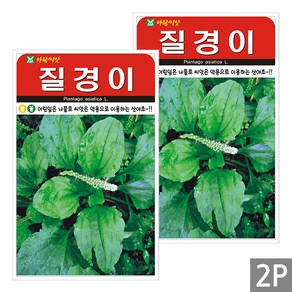 세인화분 질경이 2000립 - 국산 씨 씨앗 차전자 산야초, 2개