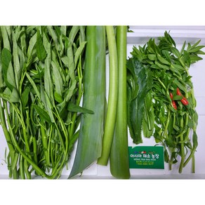 Canh chua 500g 세트/아시아 농장 송소희