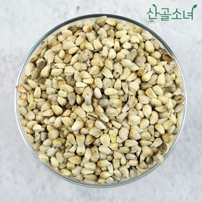 산골소녀 국내산 홍화씨, 100g, 1개