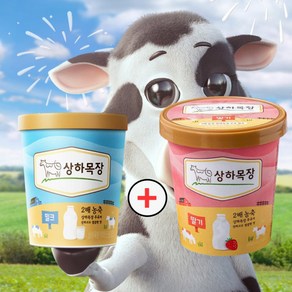 상하목장 밀크 파인트 딸기 파인트 474ML(총 ), 474ml, 2개