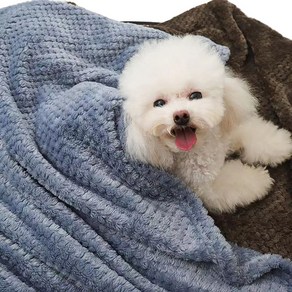 엠보싱 댕냥이 담요 이불 100X70cm 강아지 고양이 애완견 반려견 극세사 밍크 블랭킷