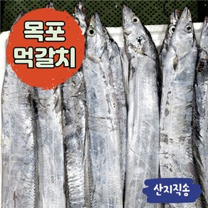 목포 갈치 생물 먹갈치 실속형(6~8마리 2kg) 가정용(5마리 1.4kg), 1개(7~8미)