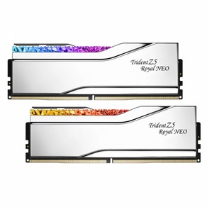 G.SKILL G.SKILL DDR5-6400 CL30 TRIDENT Z5 ROYAL NEO 실버 (32GB(16Gx2)), 1