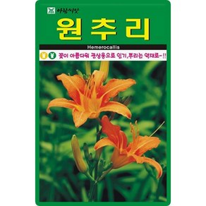 아람종묘 원추리 씨앗 30립, 1개