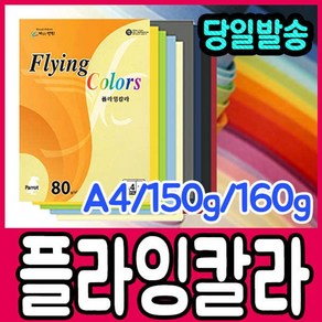 [문구티쳐] 플라잉칼라 A4 150g 160g / A4칼라용지 A4 OA용지 칼라색지, 플라잉칼라 A4_160g, L23 어린풀색