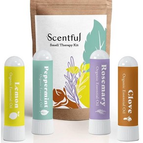 SCENTFUL 후각 상실 후각 재훈련 치료 후각 및 맛 회복용 냄새 훈련 키트 유기농 에센셜 오일로 미국에서 제작, 1개