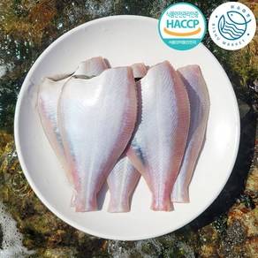 [산지직송] 당일경매 당일손질 급냉 포항 참가자미 220g, 1.3kg 내외 (5팩/10마리), 1개
