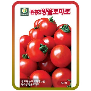 다농 원홍5호방울토마토 씨앗 50p, 1개